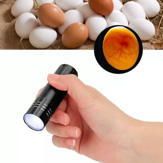 Egg Incubator Tester Candling Lamp 9 Light Bright Cold Hatching Poultry