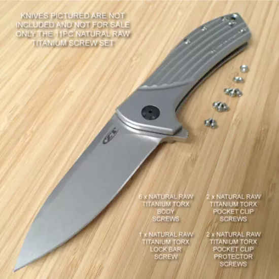 Zero Tolerance ZT0801 801 ZT0801TIBLU 0801 ZT 11PC Titanium Screw Set RAW Ti