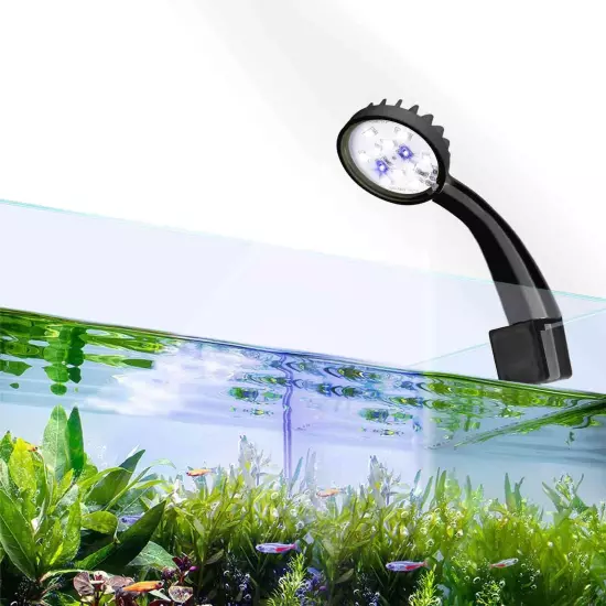 Small LED Aquarium Light for Fish Tank, 12 LEDs, White & Blue Clip on Fish Ta...