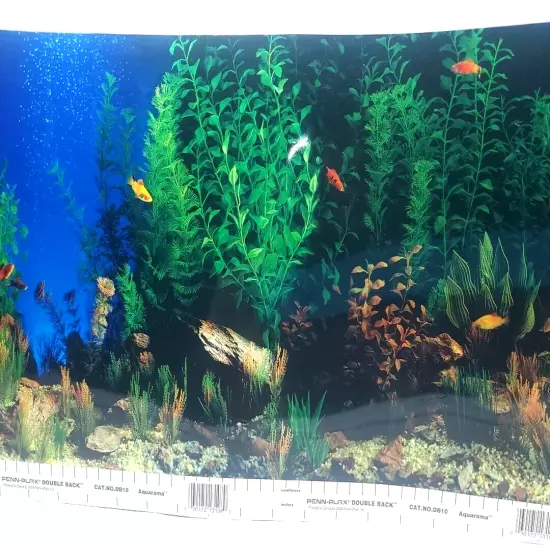 Penn Plax Shalescape / Aquarama 12” x 30’ DB10 Aquarium Background NEW