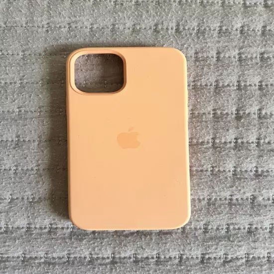 iphone 12 Pro Apple Case