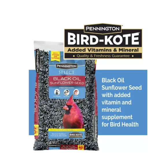 Pennington Select Black Oil Sunflower Seed Dry Wild Bird Feed, 40 lb. Bag, 1 Pac