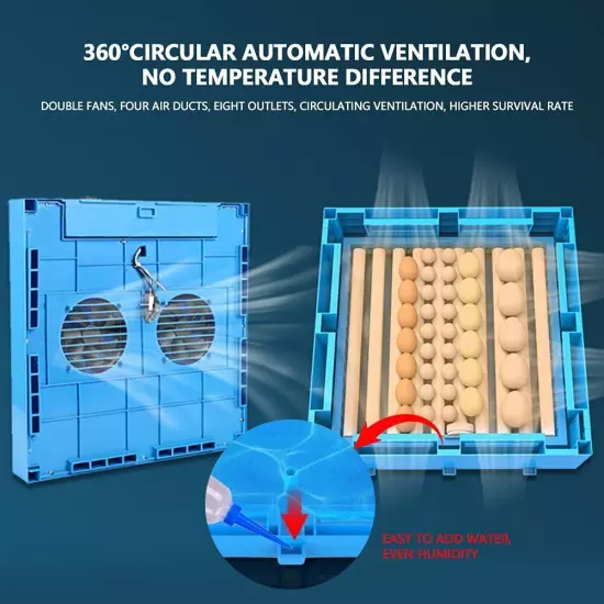 Auto Egg Incubator with Automatic Egg Turning and Humidity & Temperature Control