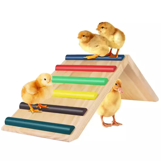 Rainbow Chicken Perch and Ramp Trainer, Baby Chick Toys for Coop and brooder,...