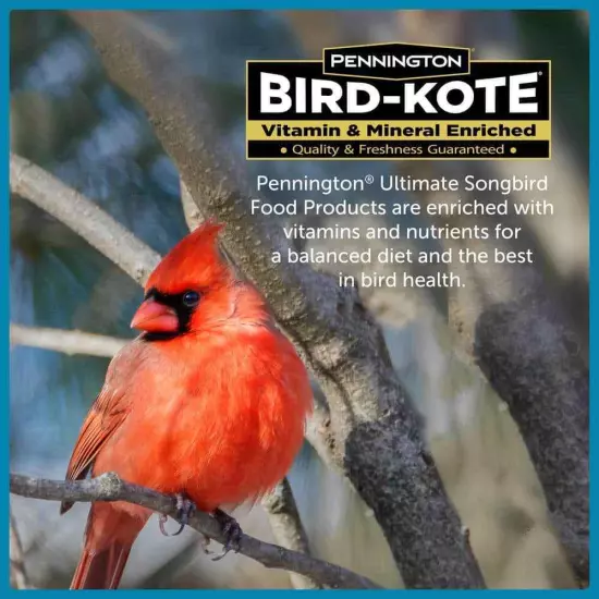 Ultimate 7 lb. Songbird Blend Bird Seed Food