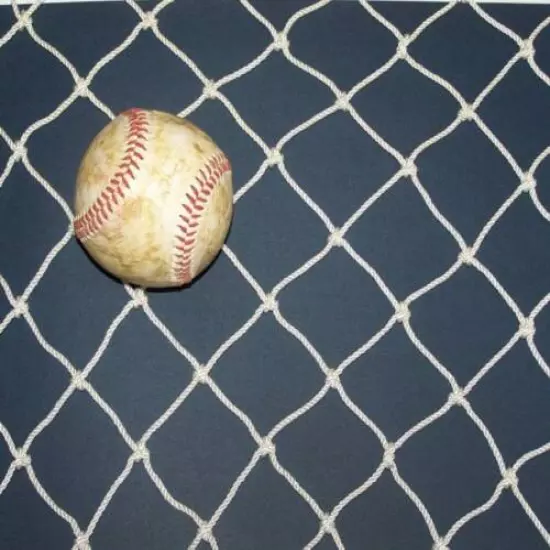 15' X 10' Baseball Softball Hard Impact Netting 1 7/8" #48 Lb 460 Test!