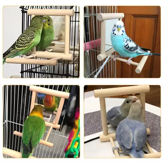 Mirror Pet Bird Wooden Play Toy with Perch For Parrots m2u G Lovebirds