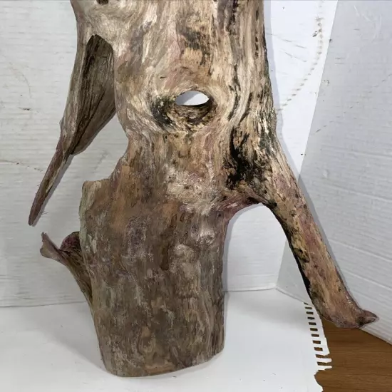 Driftwood 28” Tall Hollow Taxidermy Beach Lake Mountain House Wedding Reception