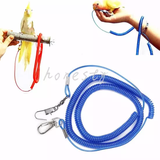 HOT Parrot Bird Lead Leash Kit Anti-bite Flying Training Rope Cockatiel Budgie