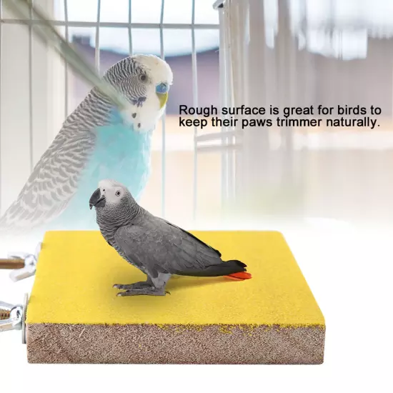 Bird Perch Stand Platform Toy Playground Paw Grinding for Pet Parrot Hamster