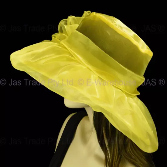 Spring Race Carnival Derby Day Church Wedding Women Ladies Organza Evening Hat