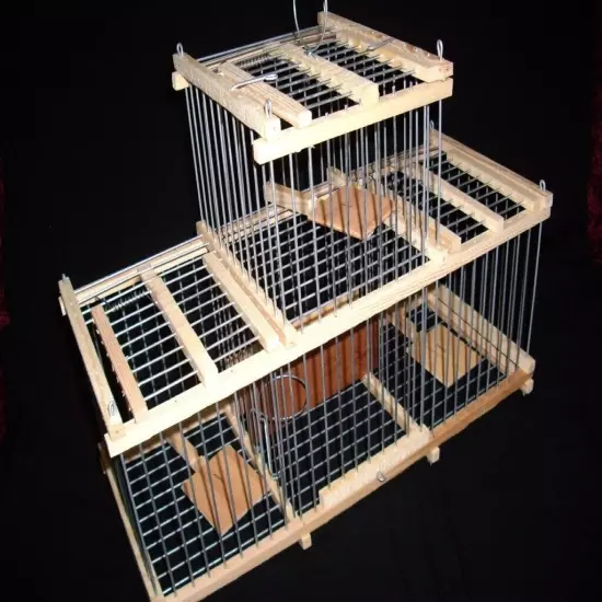 Trap Cage with 3 Traps for birds