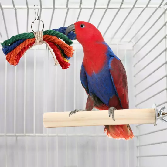 Pet Bird Parrot Swing Bell Parakeet Budgie Cockatiel Cage Hammock Hanging Toys