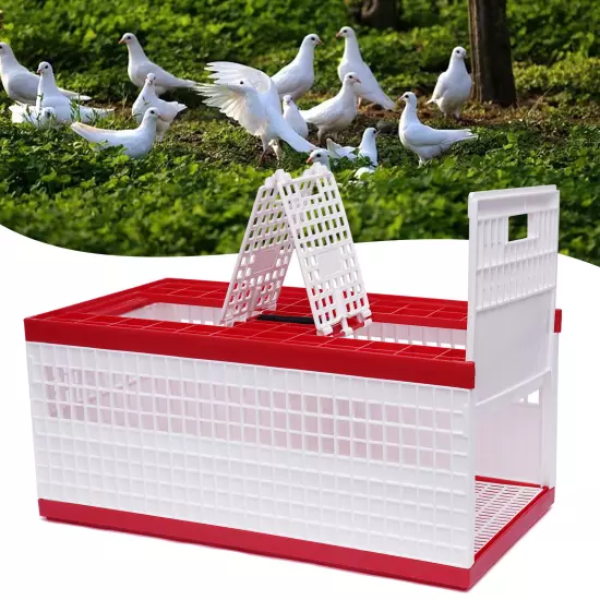 Racing Pigeon Carrier Box Bird Training Basket With 2 Side Doors 2 Top Doors Box