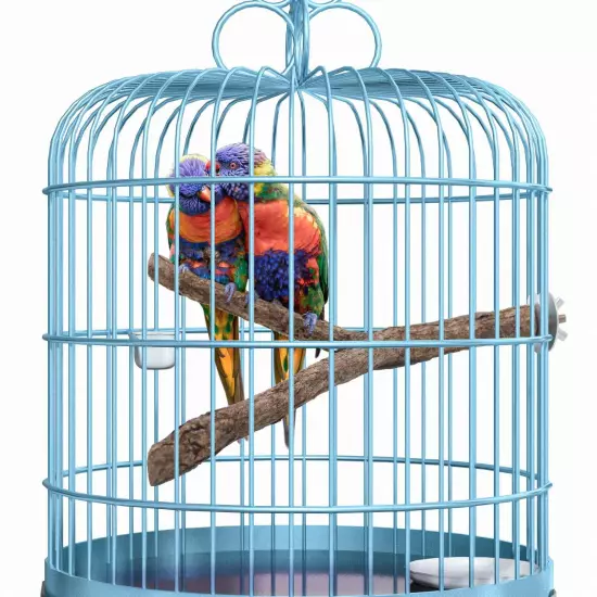 3 Pack Apple Wood Bird Perch for Cage, Natural Wooden Parrot Perch Stand Plat...