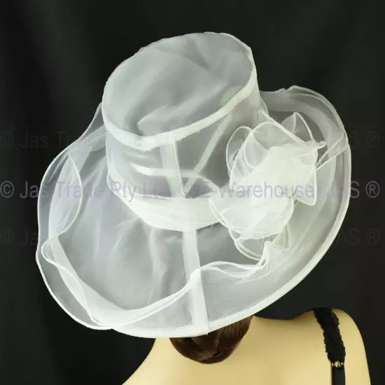 Spring Race Carnival Derby Day Church Wedding Women Ladies Organza Evening Hat