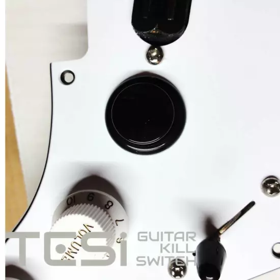 Tesi Switch DITO 24mm Arcade Button Guitar Kill Switch - 25 Colors Available!