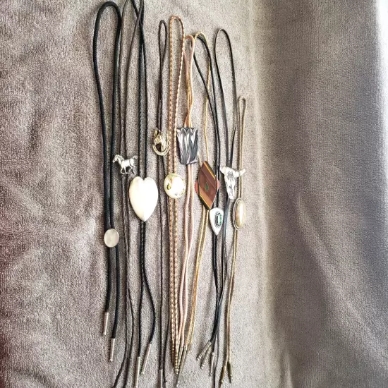 10 Piece Lot of Mixed Vintage Bolo Ties Braided Rope