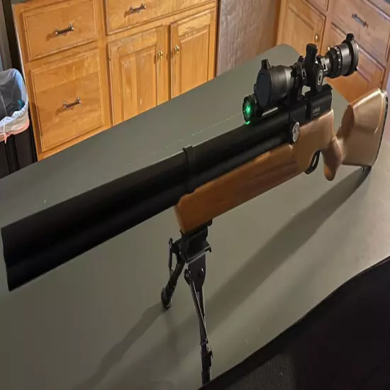 Air Venturi Avenger wood with Gamo PT-85.