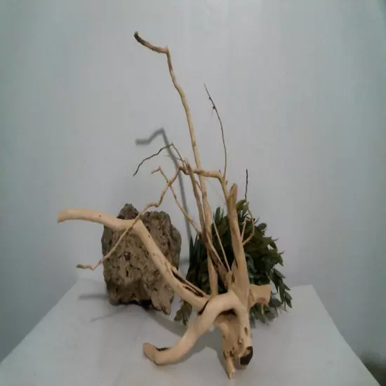 driftwood aquarium fish & reptiles 11x13" spiderwood root decor