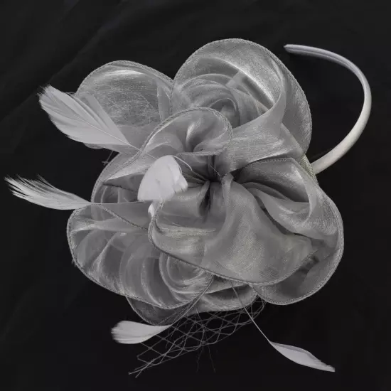 Melbourne Cup Spring Races Racing Carnival Headband Clip Hatinator Fascinator