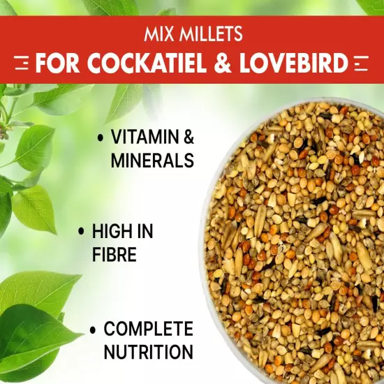 Adult Bird Seed Food Cockatiel & Lovebirds Mix Seeds Foxtail Millet Canary Seed