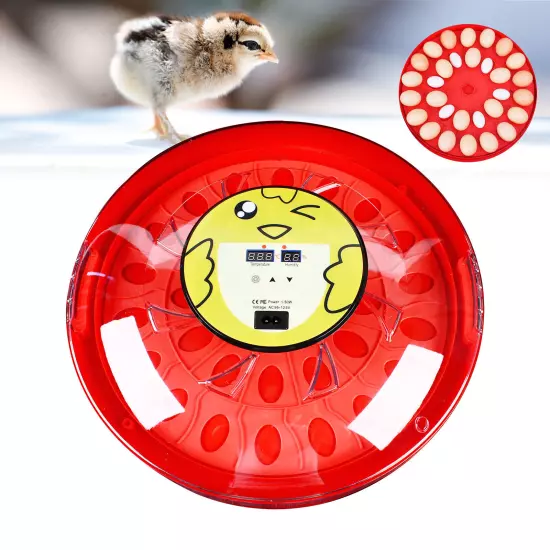 Automatic Egg Incubator Chicken Quail Chick Hatcher Incubators for Hatching Eggs