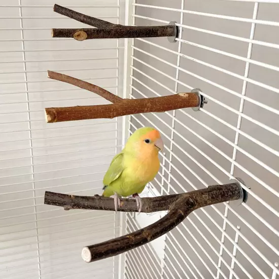 Caged Bird Natural Wooden Y Branch Perch Canary Finch Budgie Cockatiel ParฅGIFT