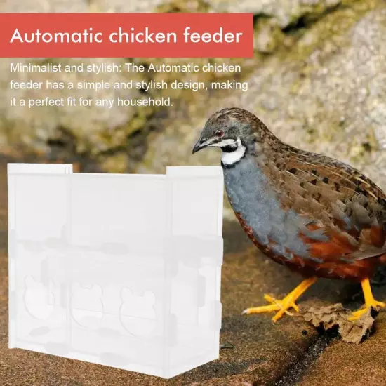 Luding Chicken Automatic Feeder Acrylic Automatic Feeder.