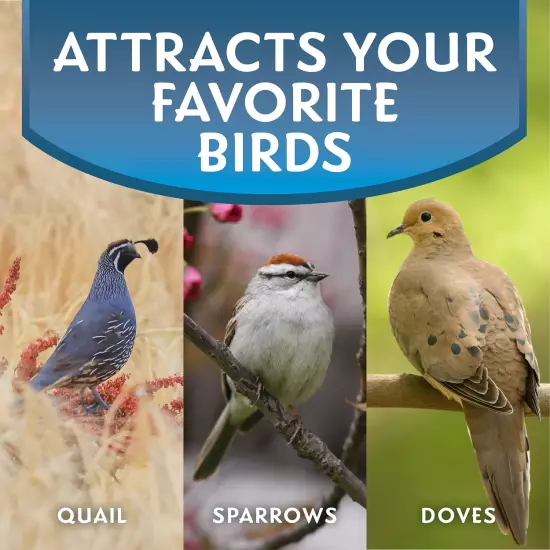 Dove & Ground Feeding Wild Bird Food, Quail, Pigeon and Dove Food Seed Mix for o