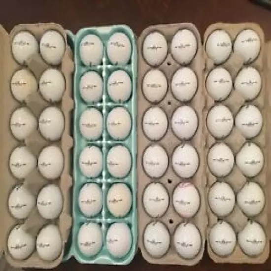 48 Callaway HX DIABLO TOUR Golf Balls in 4A and 5A Condition 