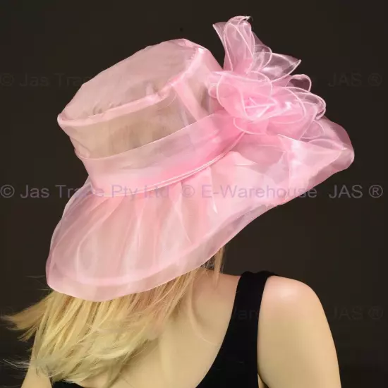 Spring Race Carnival Derby Day Church Wedding Women Ladies Organza Evening Hat