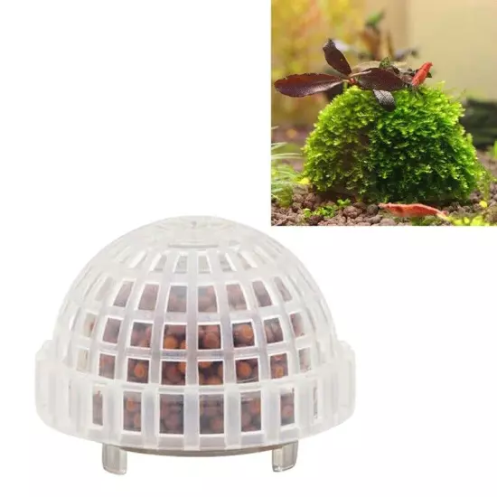 10 x Moss Dome Ball Cultivation Nature Aquarium Aquascape Aquatic Planted Tank