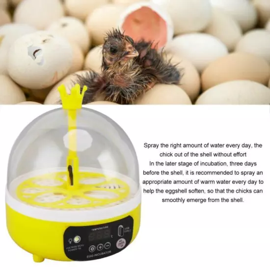 Automatic Egg Incubator Mini 4 Egg Temperature Humidity Control Auto Turner