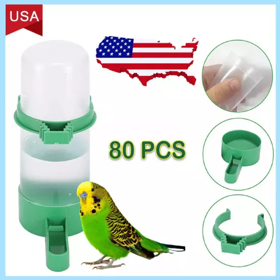 80Pcs Automatic Parrot Waterer Bird Water Feeder Pigeon Drinker Quail Drinker