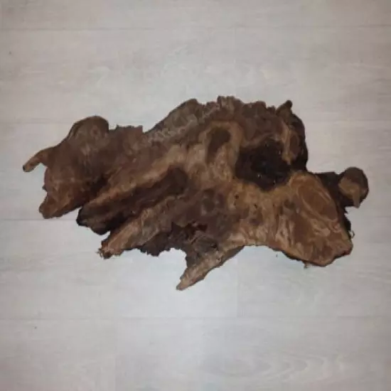 33" x 15" Unique Piece of Wood For Projects Taxidermy Etc. 