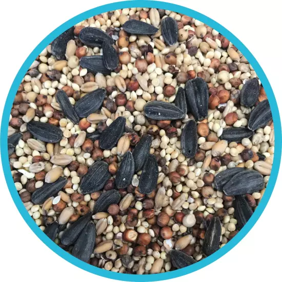 Wild Bird Feed, Feed and Seed