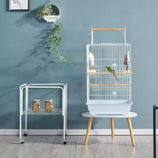 Large Parakeet Bird Cages for Small Parrots Green Cheek Conure Lovebirds with Wo