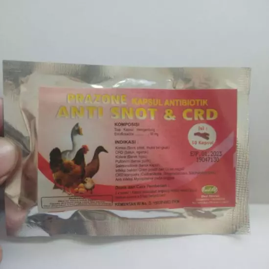 @5 Sachets x PRAZONE 10 capsules CRD anti-snot chicken duck cold