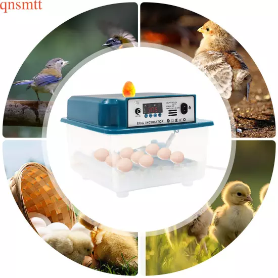 16-Eggs Digital Incubator Automatic Bird Egg Incubator Hatching Brooding Machine