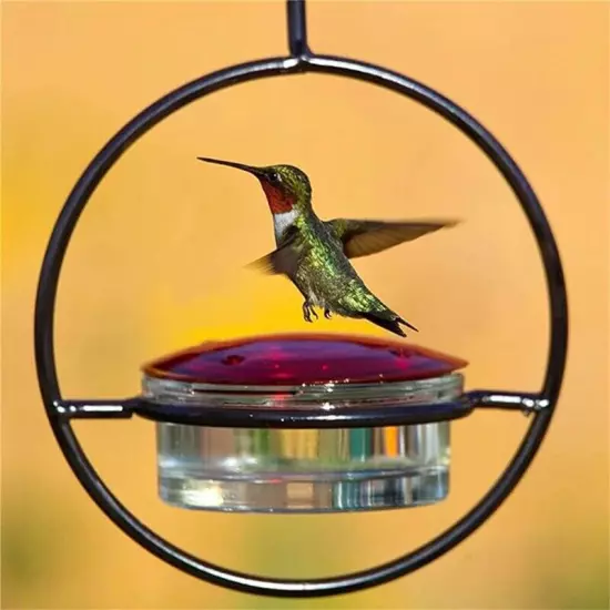 Beautiful Circular Hanging Bird Feeder,Leak Proof Circular Hanging Bird8777