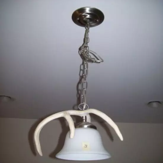  WHITETAIL DEER/ELK/MOOSE ANTLER/SHED/HORN CEILING PENDANT LIGHT/LAMP/LIGHTS #3