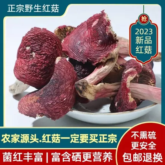 Wild red mushroom dried goods Fujian Zhenghong mushroom