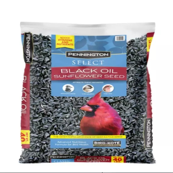 Pennington Select Black Oil Sunflower Seed Dry Wild Bird Feed, 40 lb. Bag, 1 Pac