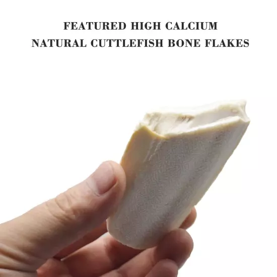 1 Bag Cuttlebone Cuttlefish Bone Sepia Cuttle Fish Pickstone Bird us Food 2024