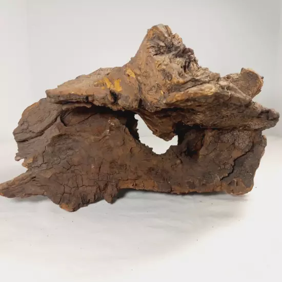 Natural Unique Wood for Reptile Terrarium Or Decoration, Wood Species Unknown