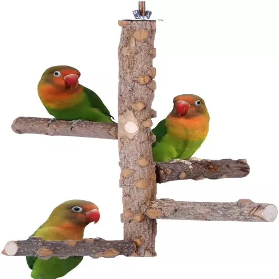 Bird Perch Nature Wood Stand for 3-4Pcs Small Medium Parrots Wood s pattern