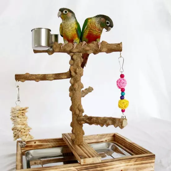 Bird Playground Cockatiel Bird Toy Parrot Playstand for Canaries Macaw Finch