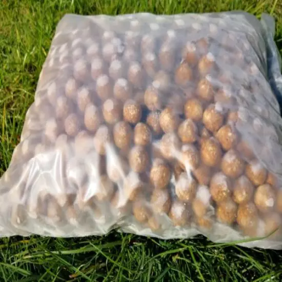 5Kg, 18mm Frozen Peanut Boilies