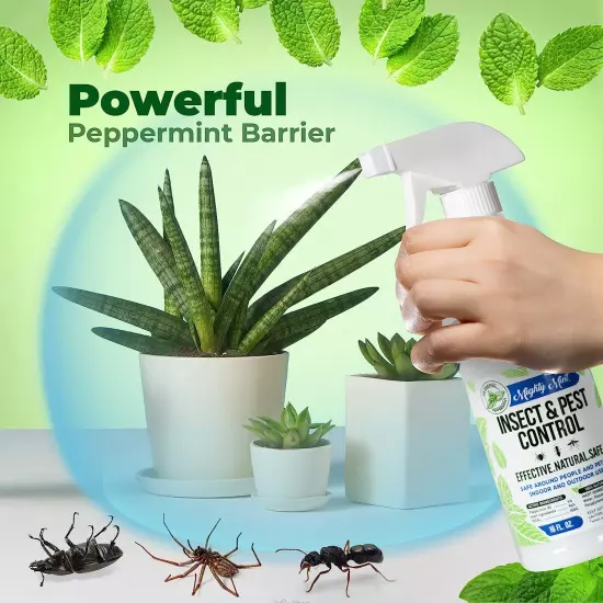 Mighty Mint 16 Oz Peppermint Oil Insect & Pest Spray - for Spiders, Ants, and Mo